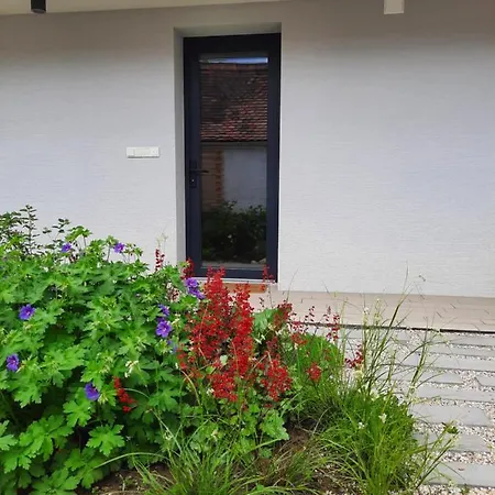 U Francuza Apartment Straznice Exterior photo