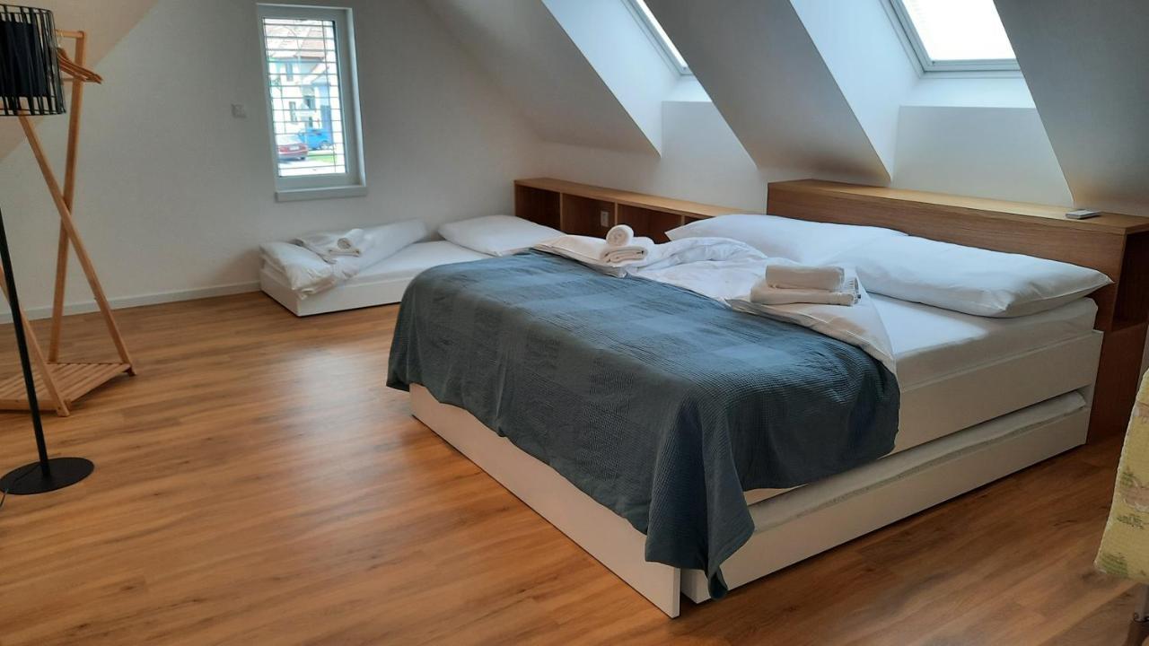 U Francuza Apartment Straznice