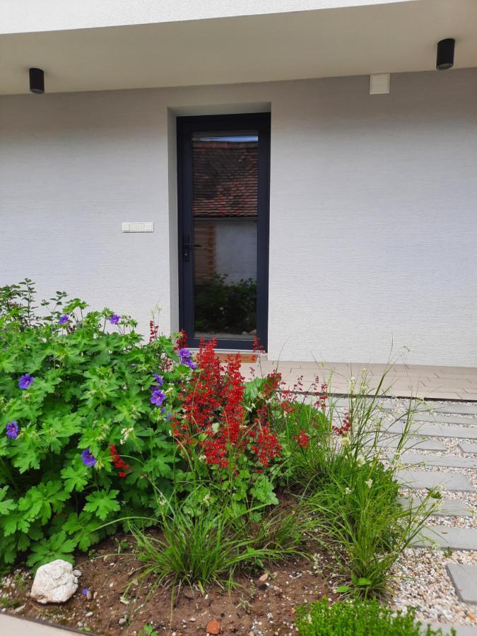 Apartment U Francuza Straznice